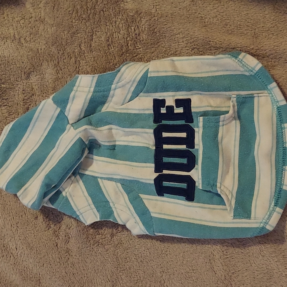 Puppy hoodie